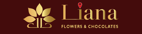 LIANA FLOWERS AND CHOCOLATES LLC