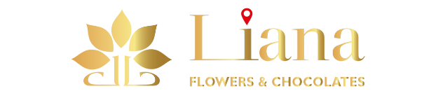 LIANA FLOWERS AND CHOCOLATES LLC